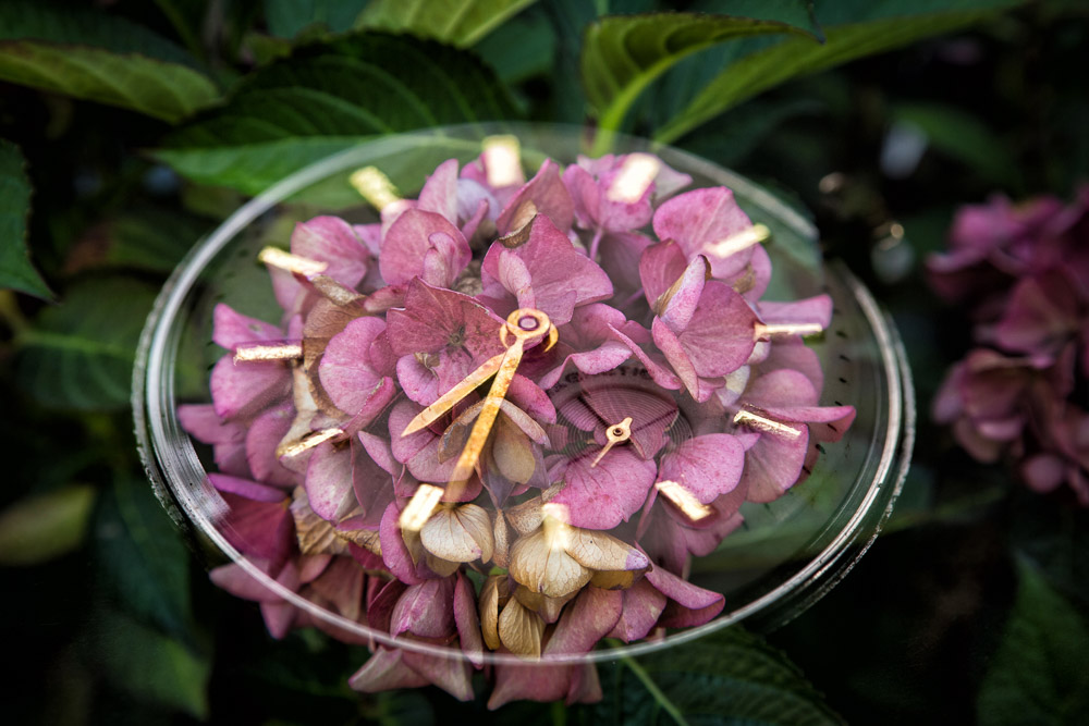 Platz 7 Willi Bitzer